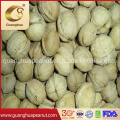 Delicious and Healthy Walnut in Shell